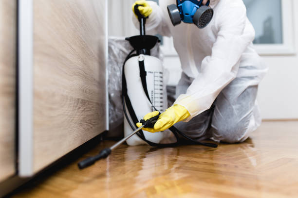 Wasp Removal Services in New Kensington, PA