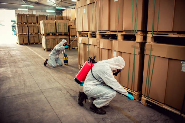 Best Bed Bug Extermination  in New Kensington, PA