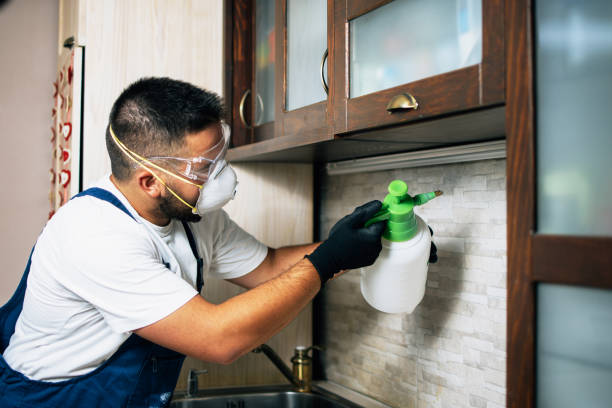 Best Pest Control Near Me  in New Kensington, PA