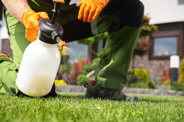 Best Flea Control Services  in New Kensington, PA