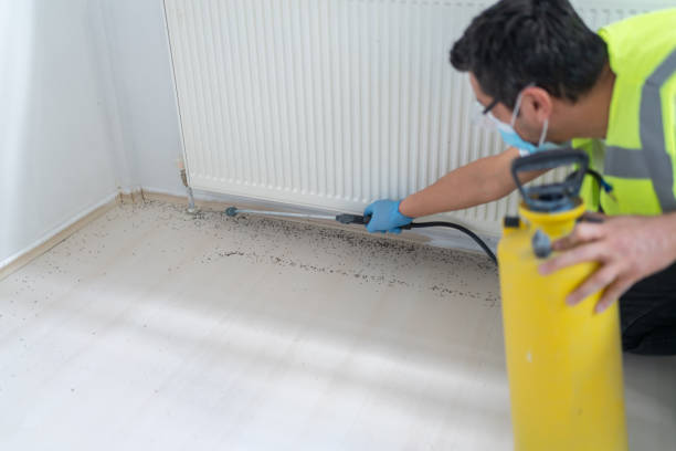 Best Pest Removal Services  in New Kensington, PA