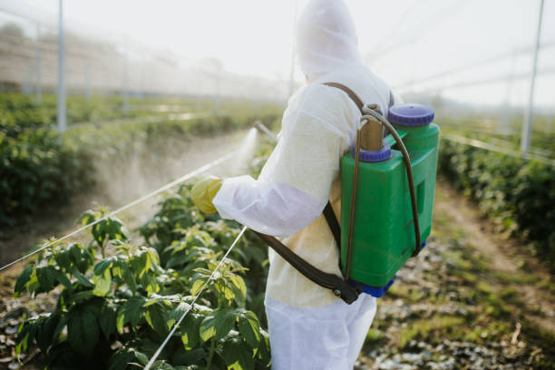 Professional Pest Control in New Kensington, PA